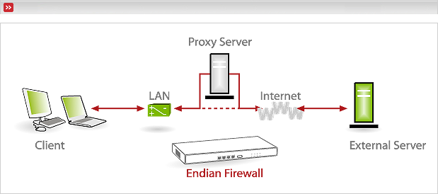 Figure that displays traffic which will be transparently redirected through the HTTP proxy.