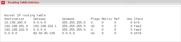 Displays current routing table
