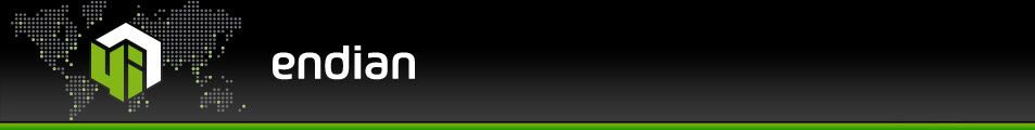 Endian banner